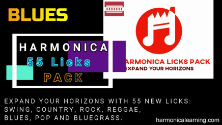 55 licks harmonica pack course