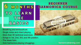 Complete beginner harmonica course (6 months)