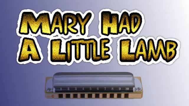 Mary Had A Little Lamb on harmonica logo