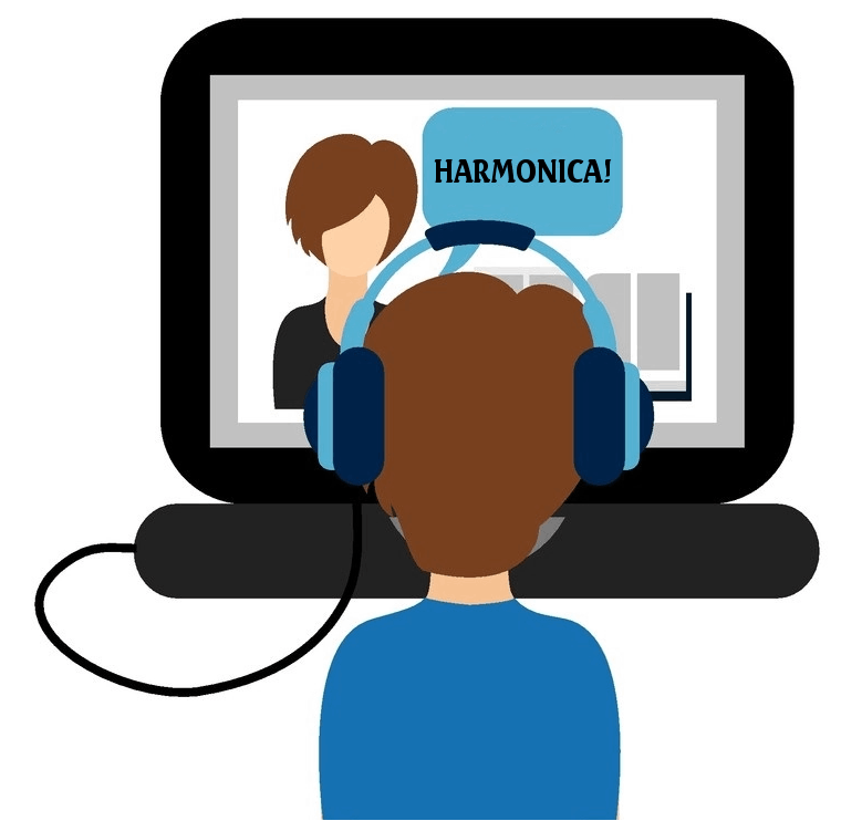 1-on-1 online harmonica lessons