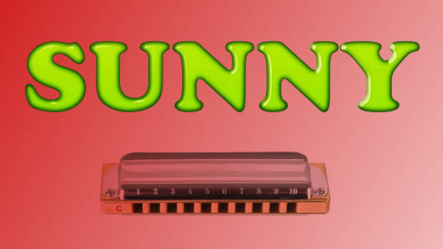 Sunny on harmonica logo