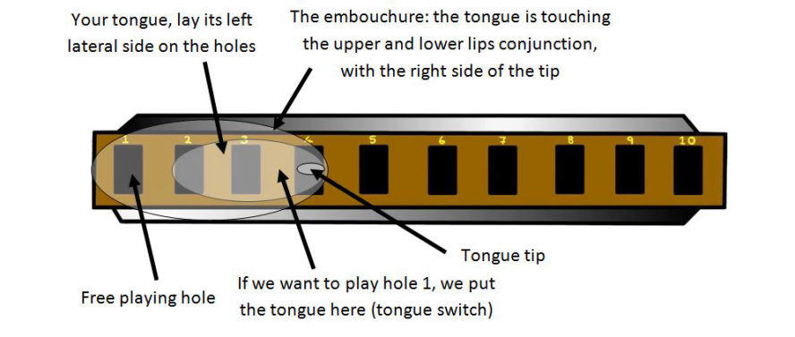 How to play hole 1 with tongue blocking on harmonica
